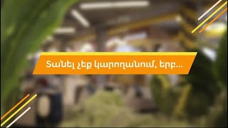 Հանդիպում Աշխատակազմի Հետ (Մաս 2) / Meet Our Staff (Part 2)