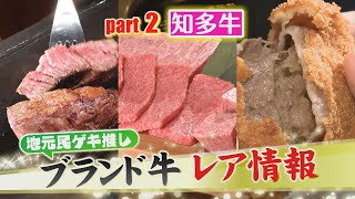 【東海三県ブランド牛！レア情報】知多の名産・幻のブランド牛！知多和牛 “誉”！