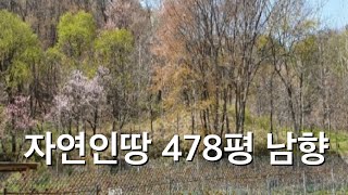 자연인땅478평 단양! 930만원 남동향 숲속 앞 아늑한 풍경 전망좋음