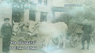 На браздата - Елин Пелин