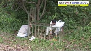 鳥栖市でサルが高齢女性に飛びつく 女性にけがはなし 警察が注意呼びかけ【佐賀県鳥栖市】 (21/10/26 18:45)