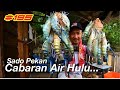 Jejak Udang Galah Sado Sungai Pahang | Cabaran Air Hulu