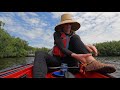 exploring the paddle trails at upper tampa bay park what you need to know