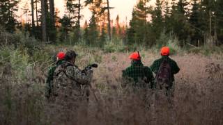 Maine Moose Hunting - Big Woods Style