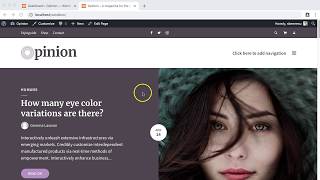 Primary menu setup - Opinion WordPress theme