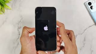 iPhone 13 & 14 black/white screen, iOS 17 won't turn on problem, green line - fix now - Reiboot