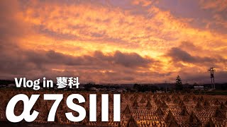 【α7SIII】蓼科Vlogでこのカメラの真価を垣間見た！！半端ない描写力！