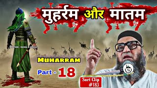 Muharram Aur Matam | Muharram Special ( Part -18 ) | @Qari Ahmad Ali | Sawal O Jawab