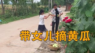 家里的黄瓜跟豆子大丰收，青妹妹带着女儿采摘，没一会功夫几十斤【青妹妹】