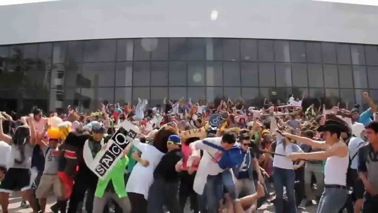 Harlem Shake Original Best Of The Best Compilation Best Harlem Shake