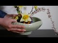 【生け花】3月のお花総集編【ikebana】水仙 ヒヤシンス 椿 桜 沈丁花 雪柳 march flower work omnibus 三月花藝綜合 Весенний цветок frühling