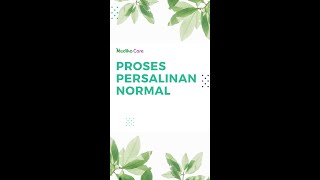 Proses Persalinan Normal