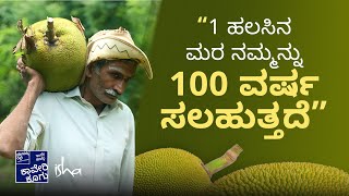 ಕೃಷಿ ಪ್ರವಾಸೋದ್ಯಮ ಜೊತೆ ಹಲಸು, ತೇಗ ಇತ್ಯಾದಿ | Agro Tourism along with Jackfruit and Teak #agrotourism