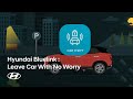 Hyundai Bluelink - Security