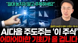 AI다음 주도주는 단연코 '이 주식'입니다, 어마어마한 기회가 올 겁니다. (강정수 박사 1부)