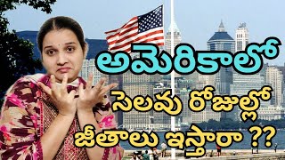 అమెరికా లో క్రిస్మస్ సెలవులకి నాకు జీతం ఇస్తారా ||అసలు జీతాలు ఎలా ఉంటాయి ||#teluguvlogsfromusa