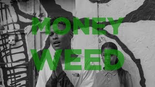 WCK MONEY WEED (Official Video)