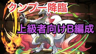 【パズドラ】クンプー降臨【廃人向け】