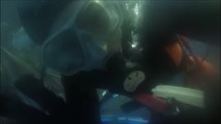 魚津水族館の富山湾大水槽お食事タイム