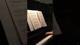 云雀 钢琴_The Lark piano solo_Glinka_Balakirev 巴拉基列夫