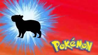 Who’s that Pokémon Capybara edition