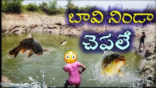 బావి నిండా చేపలే 😱 || బావిలో చేపలు #fish #bigfish #fishing #fishingtechniques