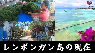 【2021年】バリ島からいける離島『レンボンガン島』の現在。マングローブエリアの島民はどうしているのか？