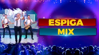 ESPIGA | MIXTURA del RECUERDO - Leo Dan- Leonardo Favio- Sandro- Los Iracundos