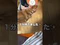 【お利口さん】待て練習してみた【shibainu】 shorts