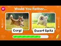 would you rather... dogs edition 🐶