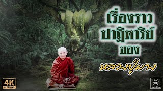 เรื่องราวอิทธิปาฏิหาริย์ของหลวงปู่ผาง | พระอริยเจ้าผู้เป็นที่พึ่งของเหล่าพวกกายทิพย์