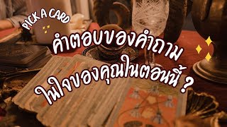 PICK A CARD | คำตอบของคำถามในใจของคุณในตอนนี้ ? 📝