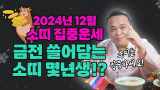 2024년 12월 소띠 집중운세 대공개! 양력12월, 성공과 재물을 잡는 방법! 🐮/ 강남용한점집