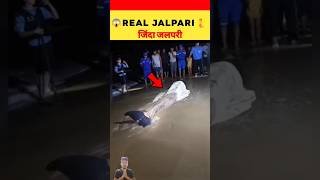 Real Jalpari 😱 जिंदा जलपरी 🧜#viral #hindi #facts #ytshorts #trendingshorts #shorts
