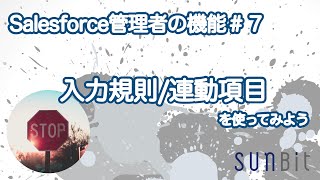 【Salesforce管理者の機能#7】入力規則