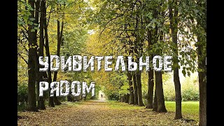 Парк Покровское-Стрешнево Москва осень 2019🍀💥🍀