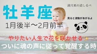 【1月後半〜2月前半】牡羊座の運気⭐️魂の声に従って覚醒する時‼️やりたい人生で花を咲かせる🌼