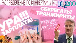 Распределение по конвертам №14/всё по тысяче и кот-шатун/бюджет 161 900₽