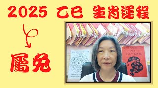 張子萍 2025乙巳年生肖運勢/蛇年十二生肖運程之生肖[兔]