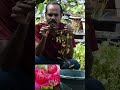 താമര കിഴങ്ങ് ഫ്രീ ആയിട്ട് കൊടുത്തു 1millionviews lotus keralaflowers flowergarden gardening