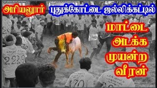 அரியலூர் புதுக்கோட்டை ஜல்லிக்கட்டில் மாட்டின் கழுத்தில் மாட்டிய வீரன்