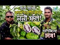 আফ্রিকান ননী ফল চাষ (Noni Fruits) বাণিজ্যিকভাবে বাংলাদেশে প্রথম | উদ্যোক্তার খোঁজে