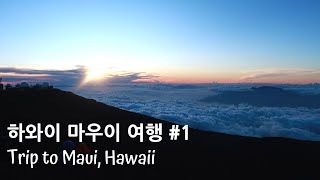 미국 여행 | 2019 하와이 마우이 여행 Vlog #1 Trip to Maui, Hawaii 2019