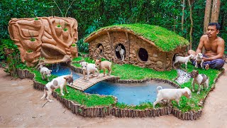 Build Hobbit House For Rescued Dogs And Fish Pond for Baby Frogs
