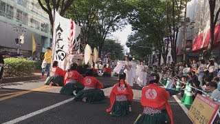 鷹姫ouki2019 　千鳥詠（ちどりうた）　【どまつり　大津東2本目】