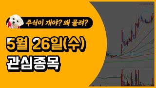 [웃지] 5월 26일 관심주 - 그린플러스,조광페인트,상상인,동일제강,대동스틸,케이에스피,자비스