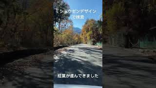 八ヶ岳　高気密高断熱　省エネ住宅　快適な住まいをお約束　#北杜市 #八ヶ岳 #shorts