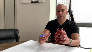 The 5 tactics in the longevity toolkit Peter Attia