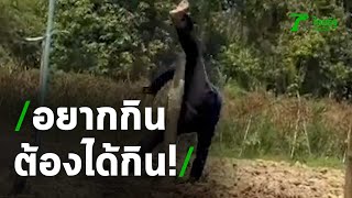 อยากกิน ต้องได้กิน! | 26-03-64 | ตะลอนข่าว