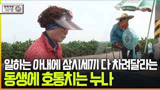 [다큐 ‘가족’ 394회⑤] 일하는 아내에 삼시세끼 다 차려달라는 동생에 호통치는 누나